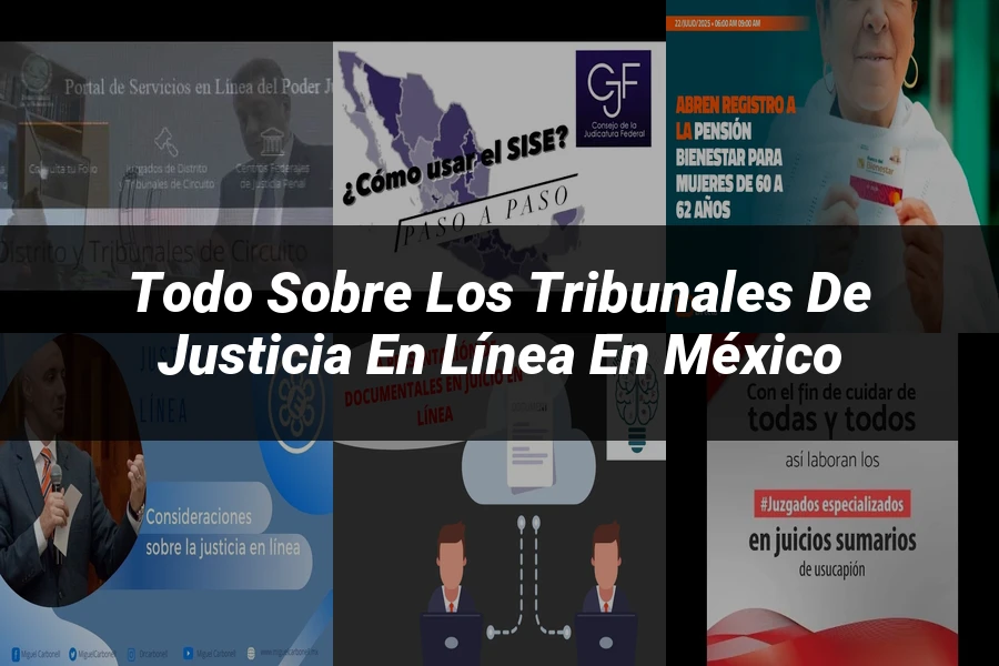 "Todo sobre los Tribunales de Justicia en Línea en México"