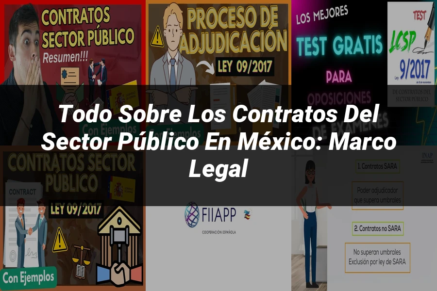 "Todo sobre los contratos del sector público en México: Marco Legal"