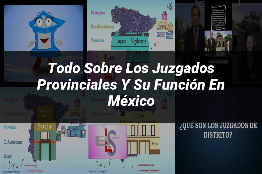 "Todo sobre los juzgados provinciales y su función en México"