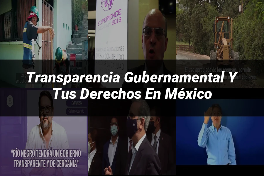 "Transparencia gubernamental y tus derechos en México"