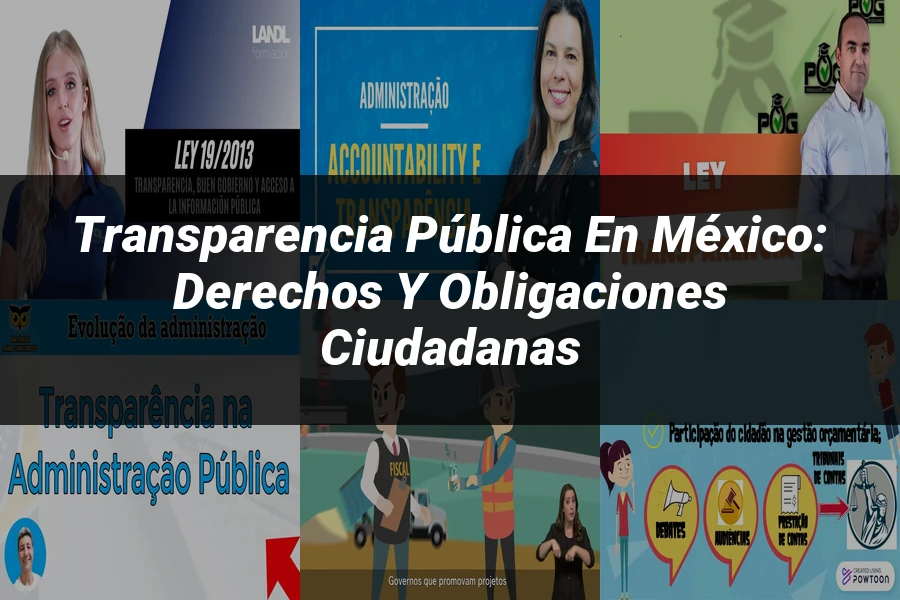 "Transparencia pública en México: Derechos y obligaciones ciudadanas"