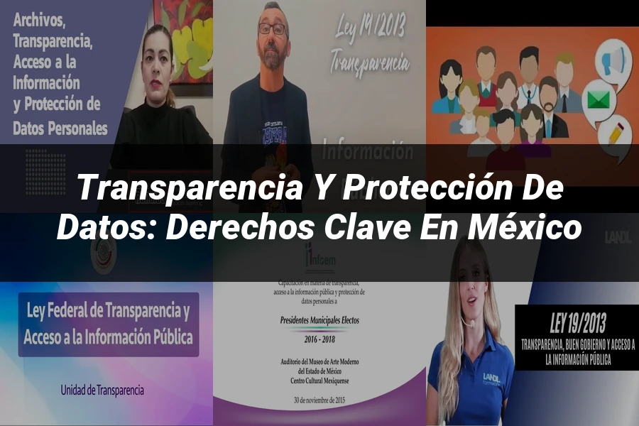 "Transparencia y Protección de Datos: Derechos Clave en México"