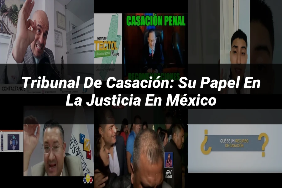 "Tribunal de casación: su papel en la justicia en México"