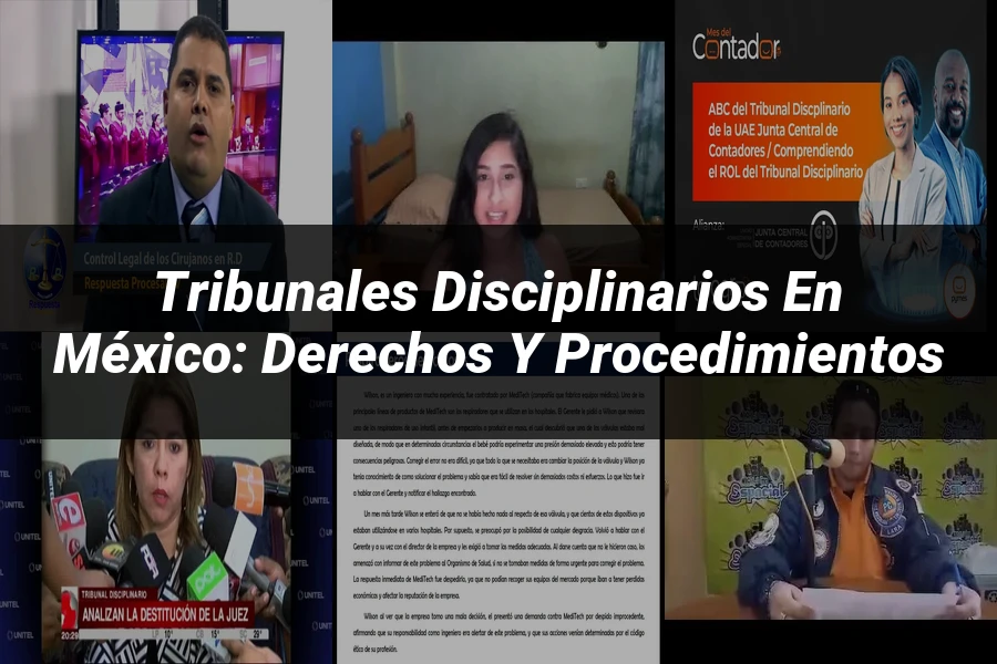 "Tribunales disciplinarios en México: derechos y procedimientos"