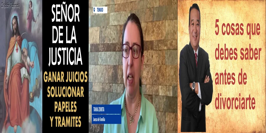 "Trámites en el Juzgado de Familia: Derechos y Proceso en México"