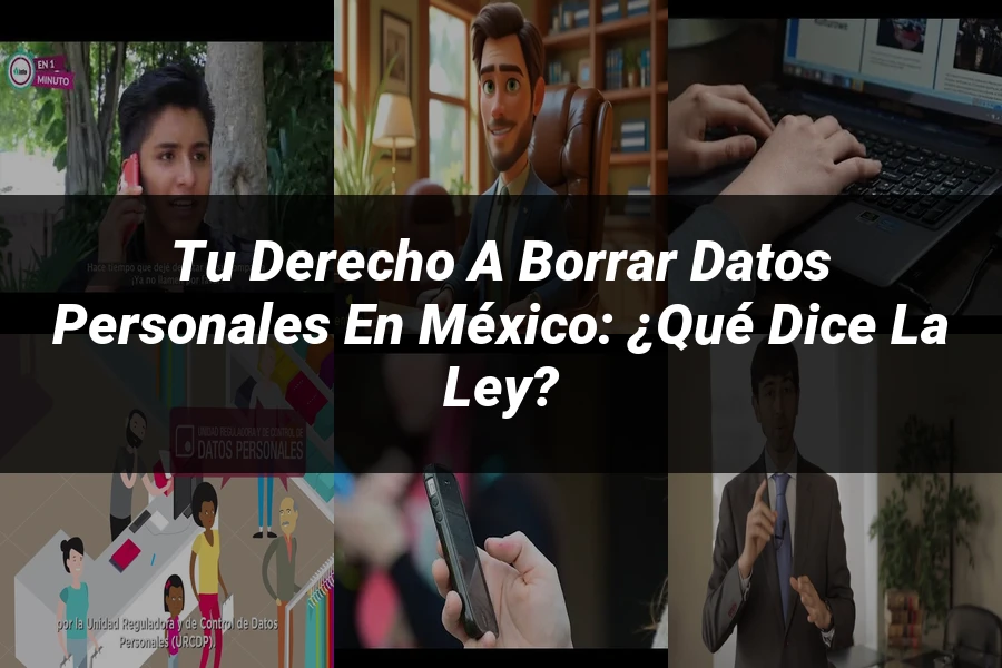 "Tu Derecho a Borrar Datos Personales en México: ¿Qué Dice la Ley?"