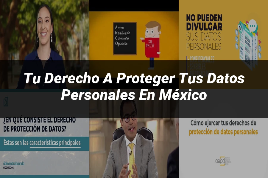 "Tu Derecho a Proteger tus Datos Personales en México"
