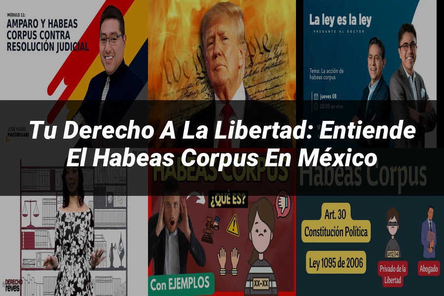 "Tu Derecho a la Libertad: Entiende el Habeas Corpus en México"