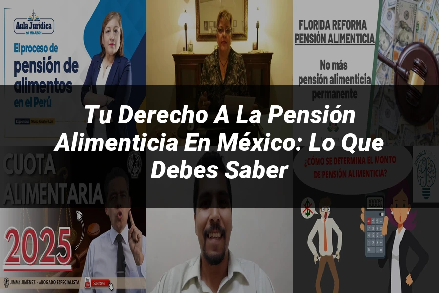 "Tu Derecho a la Pensión Alimenticia en México: Lo que Debes Saber"