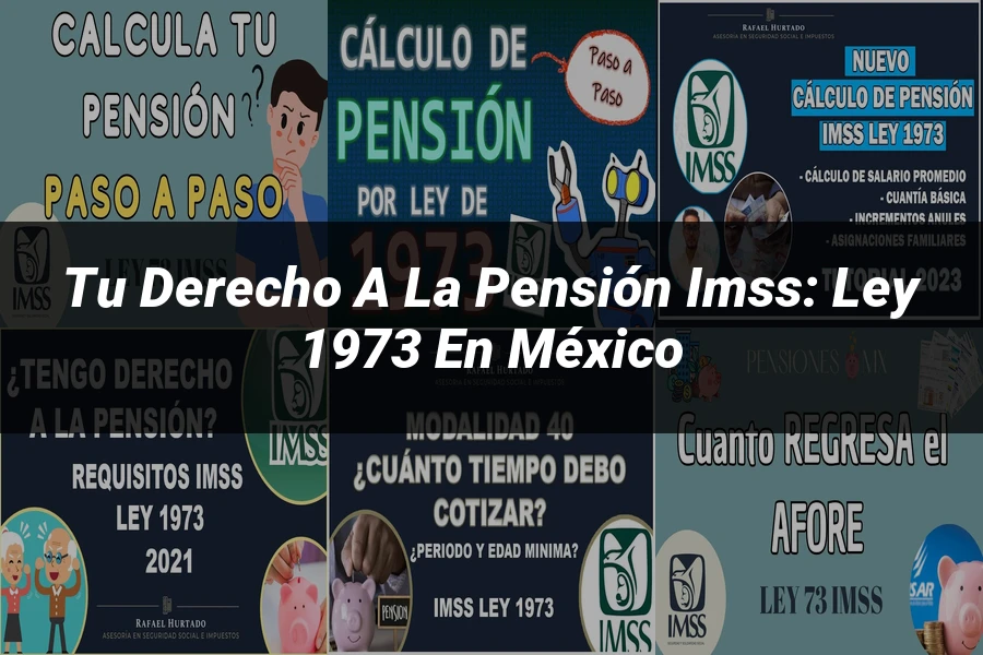 "Tu Derecho a la Pensión IMSS: Ley 1973 en México"