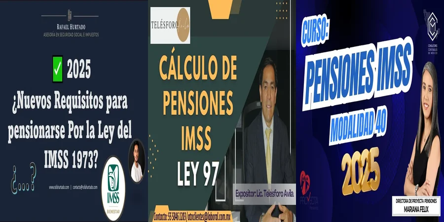 "Tu Derecho a la Pensión por Invalidez del IMSS en México"
