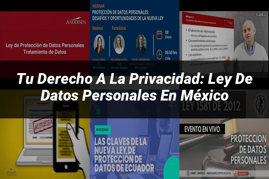 "Tu Derecho a la Privacidad: Ley de Datos Personales en México"