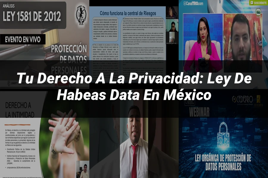 "Tu Derecho a la Privacidad: Ley de Habeas Data en México"