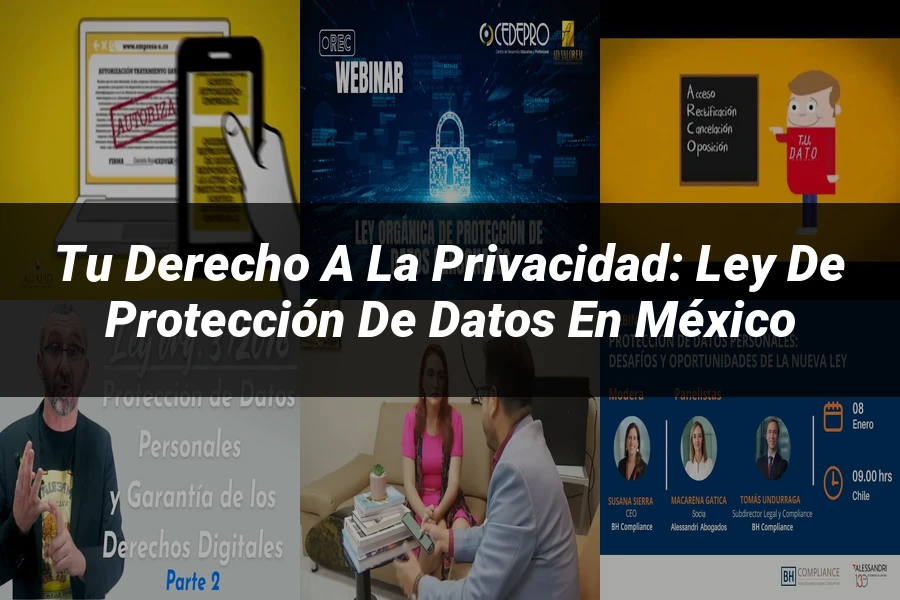 "Tu Derecho a la Privacidad: Ley de Protección de Datos en México"
