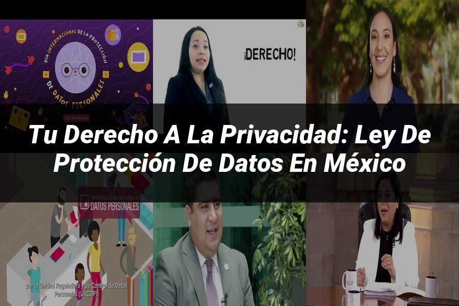 "Tu Derecho a la Privacidad: Ley de Protección de Datos en México"