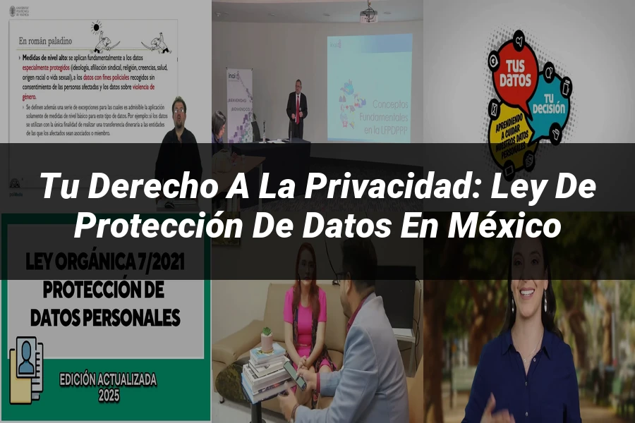 "Tu Derecho a la Privacidad: Ley de Protección de Datos en México"