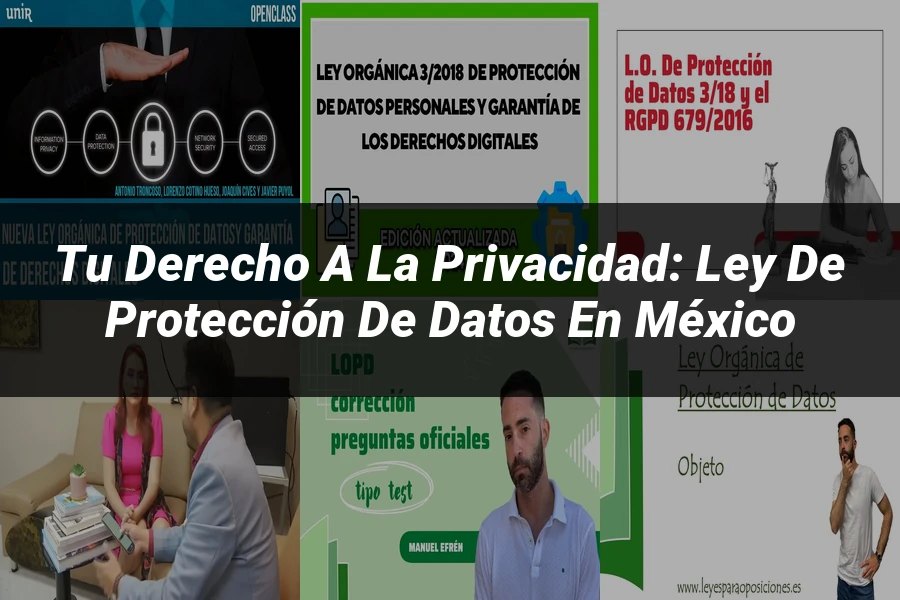 "Tu Derecho a la Privacidad: Ley de Protección de Datos en México"