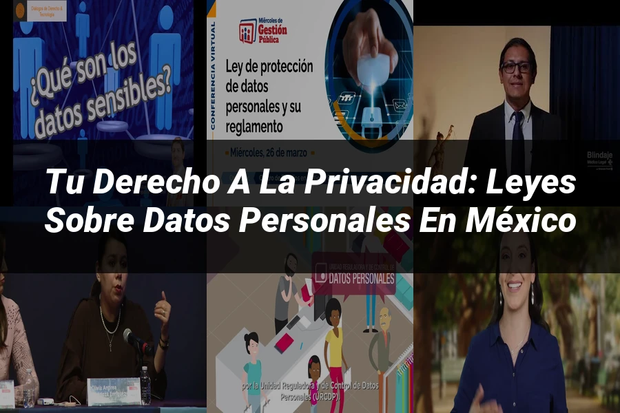"Tu Derecho a la Privacidad: Leyes sobre Datos Personales en México"