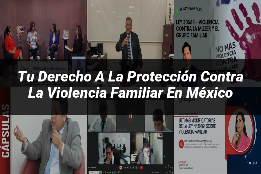 "Tu Derecho a la Protección contra la Violencia Familiar en México"