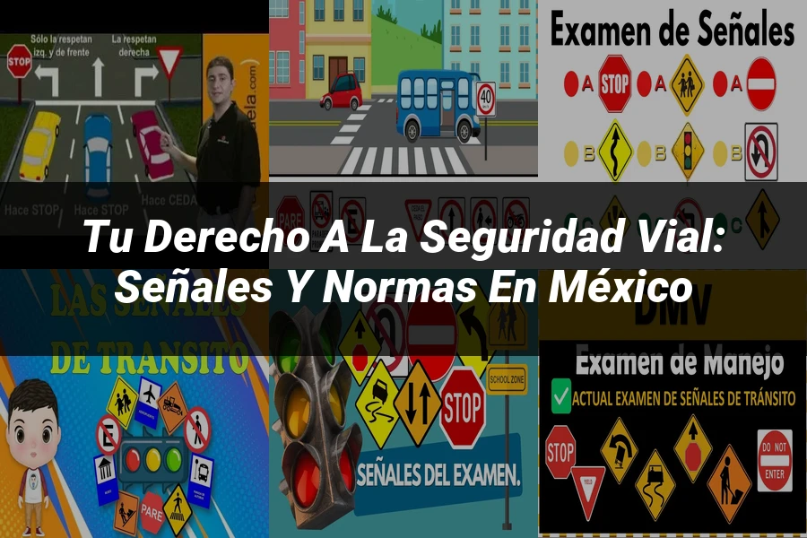 "Tu Derecho a la Seguridad Vial: Señales y Normas en México"