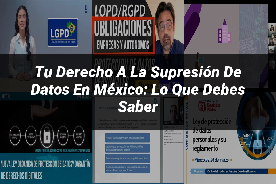 "Tu Derecho a la Supresión de Datos en México: Lo que Debes Saber"