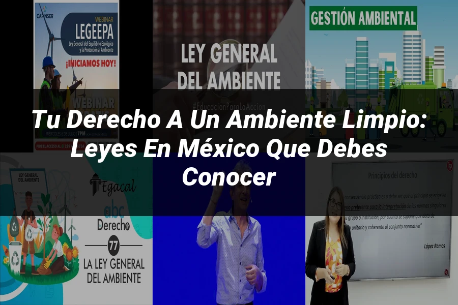 "Tu Derecho a un Ambiente Limpio: Leyes en México que Debes Conocer"