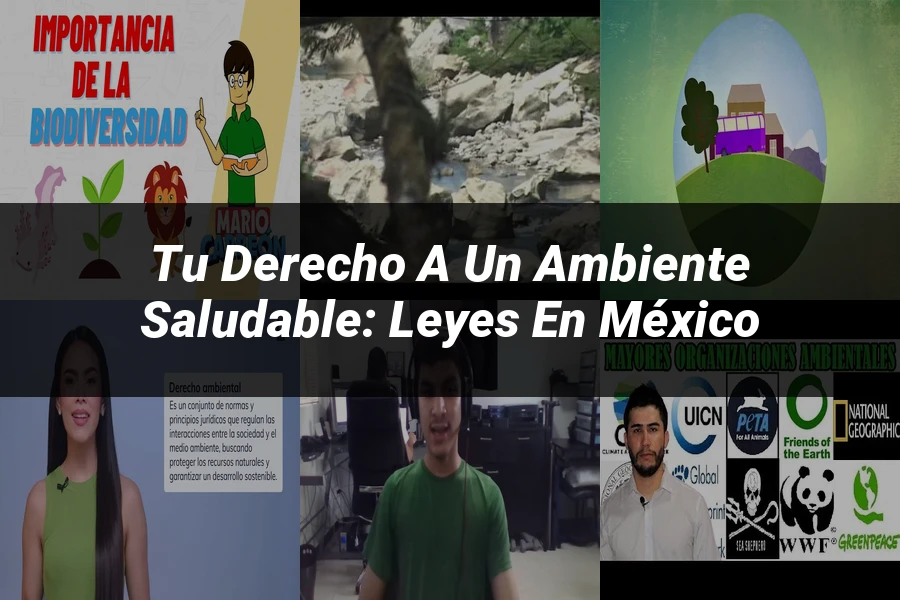 "Tu Derecho a un Ambiente Saludable: Leyes en México"