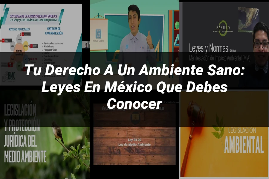 "Tu Derecho a un Ambiente Sano: Leyes en México que Debes Conocer"