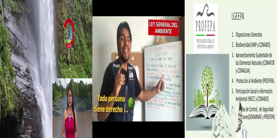 "Tu Derecho a un Ambiente Sano: Leyes en México que Debes Conocer"
