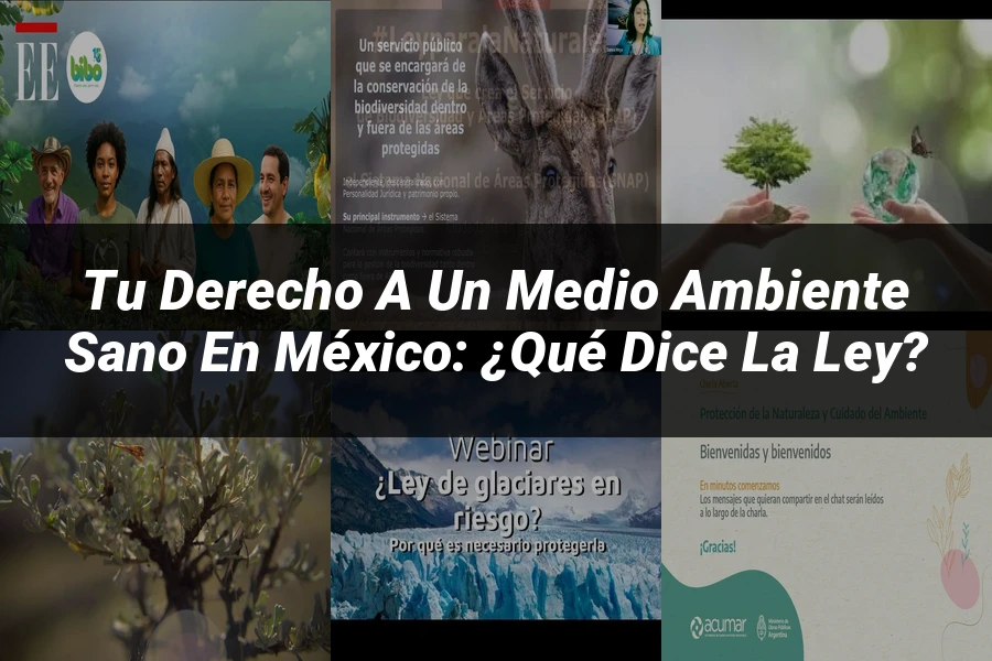 "Tu Derecho a un Medio Ambiente Sano en México: ¿Qué Dice la Ley?"
