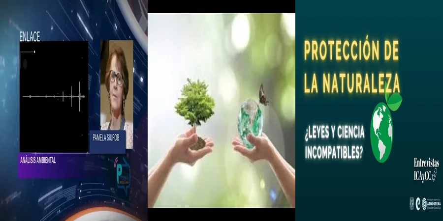 "Tu Derecho a un Medio Ambiente Sano en México: ¿Qué Dice la Ley?"