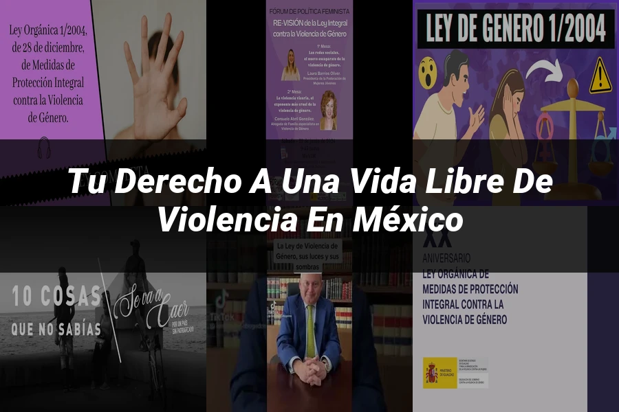 "Tu Derecho a una Vida Libre de Violencia en México"
