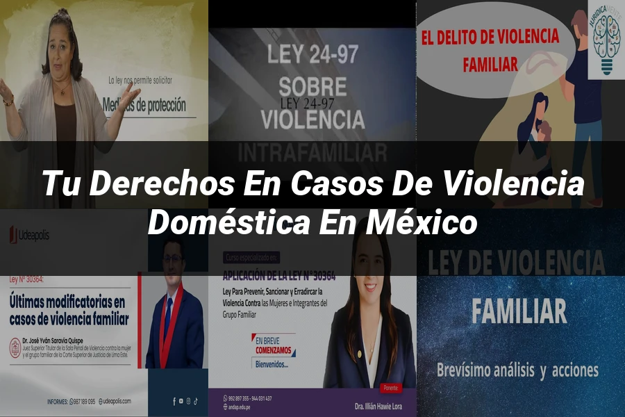 "Tu Derechos en Casos de Violencia Doméstica en México"