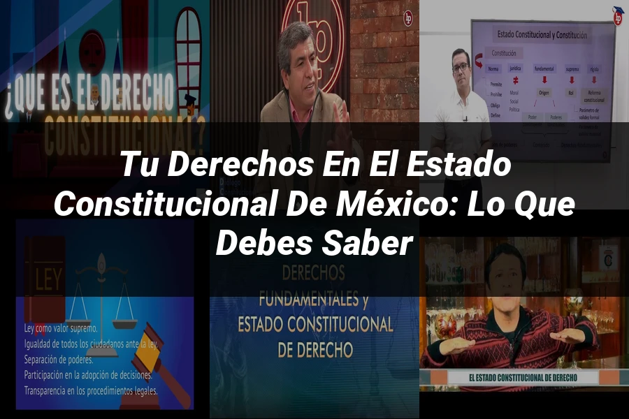 "Tu Derechos en el Estado Constitucional de México: Lo Que Debes Saber"
