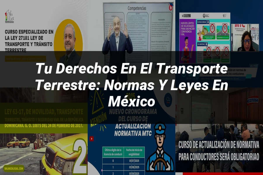 "Tu Derechos en el Transporte Terrestre: Normas y Leyes en México"