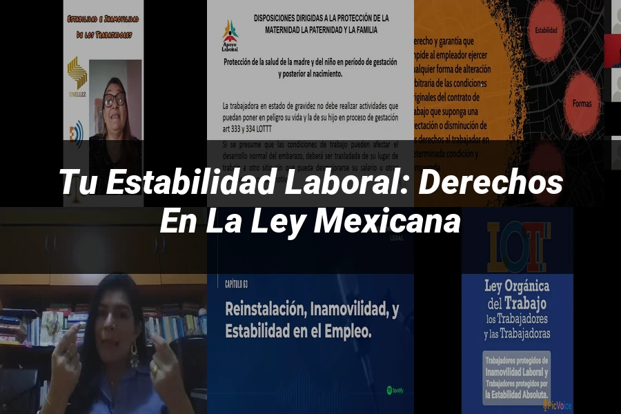 "Tu Estabilidad Laboral: Derechos en la Ley Mexicana"