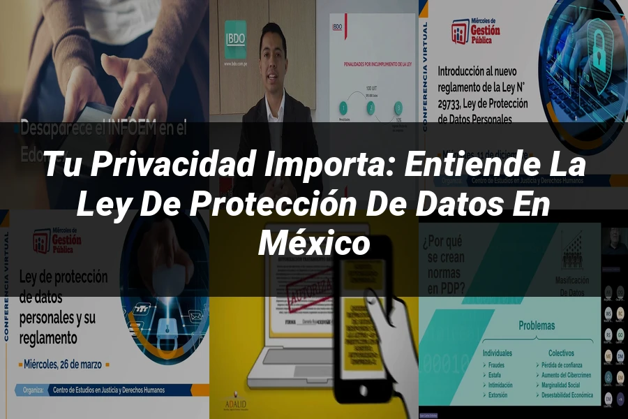 "Tu Privacidad Importa: Entiende la Ley de Protección de Datos en México"