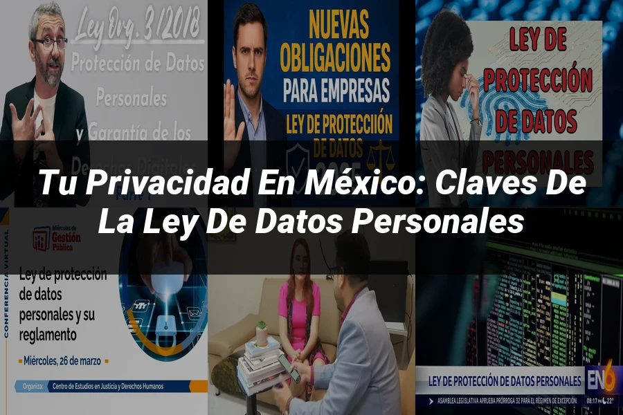 "Tu Privacidad en México: Claves de la Ley de Datos Personales"