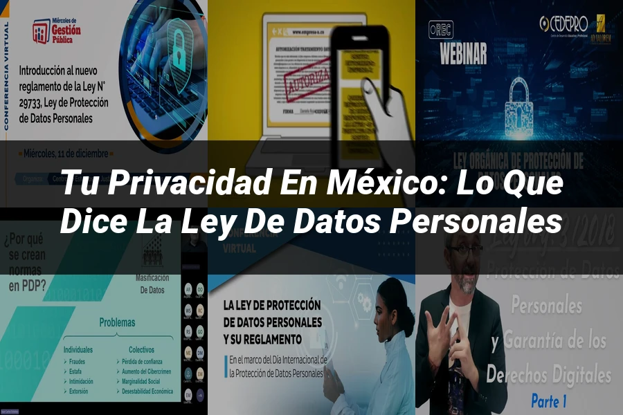 "Tu Privacidad en México: Lo que Dice la Ley de Datos Personales"