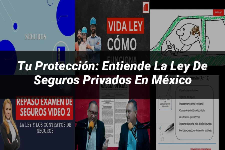 "Tu Protección: Entiende la Ley de Seguros Privados en México"