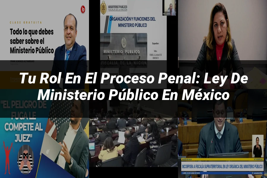 "Tu Rol en el Proceso Penal: Ley de Ministerio Público en México"
