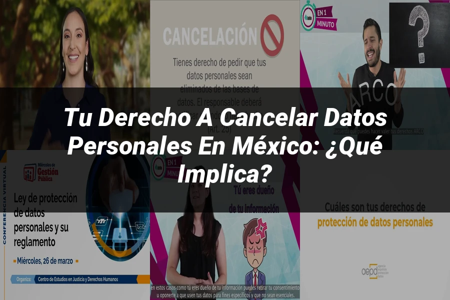 "Tu derecho a cancelar datos personales en México: ¿Qué implica?"