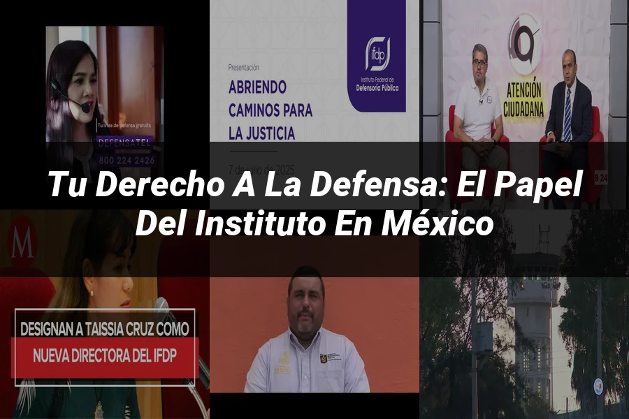 "Tu derecho a la defensa: el papel del instituto en México"