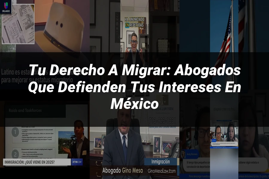 "Tu derecho a migrar: Abogados que defienden tus intereses en México"