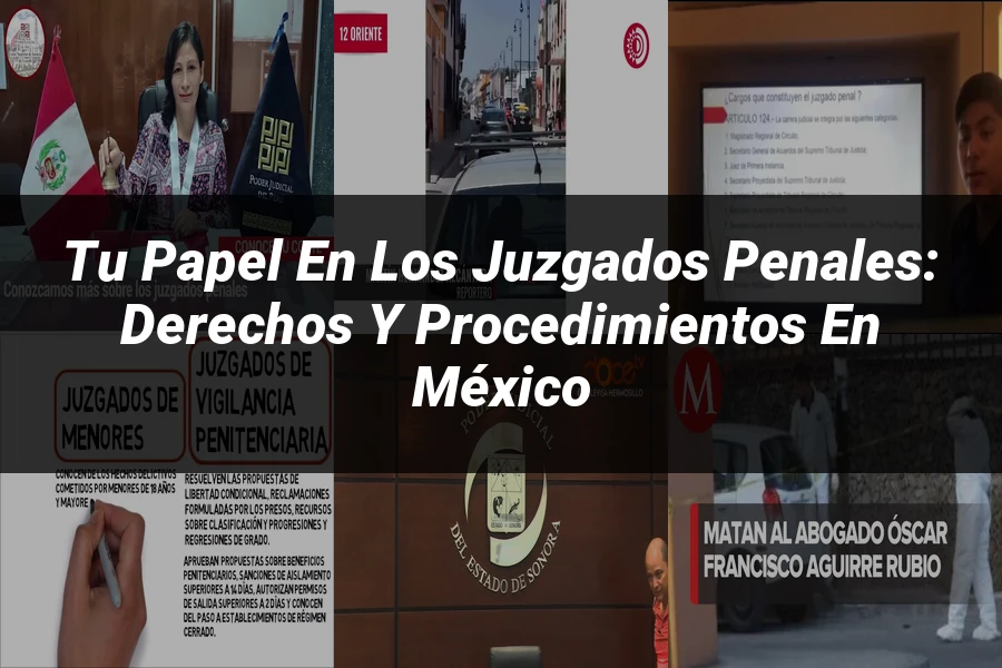 "Tu papel en los juzgados penales: derechos y procedimientos en México"