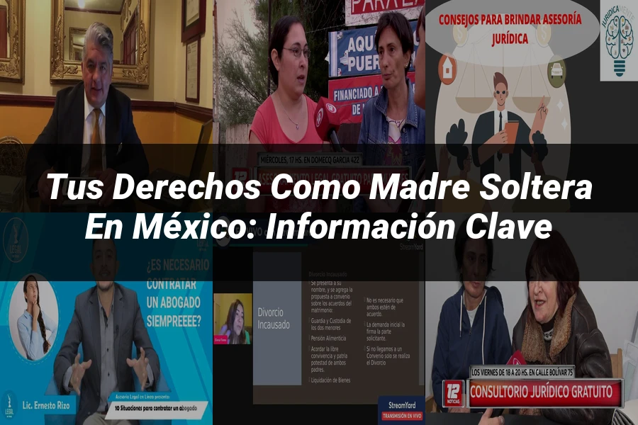 "Tus Derechos como Madre Soltera en México: Información Clave"