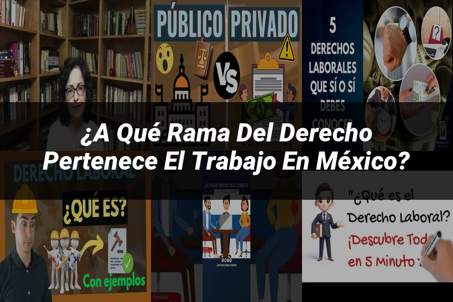 "¿A qué rama del derecho pertenece el trabajo en México?"