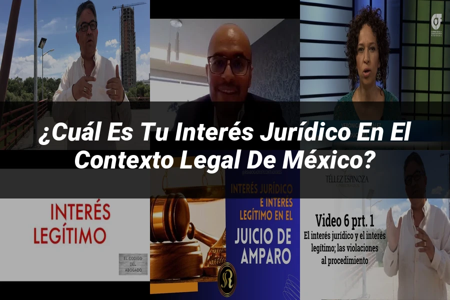 "¿Cuál es tu interés jurídico en el contexto legal de México?"