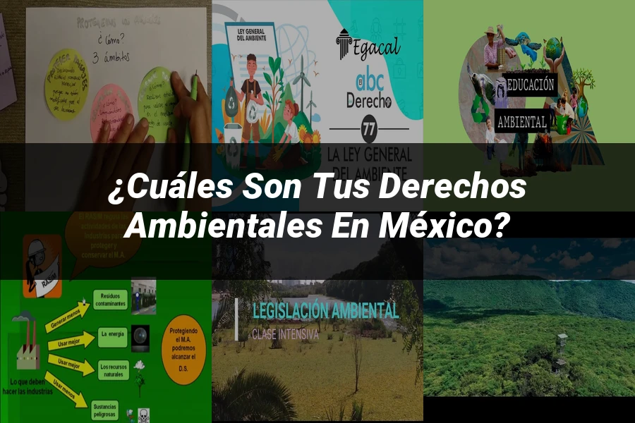 "¿Cuáles Son Tus Derechos Ambientales en México?"