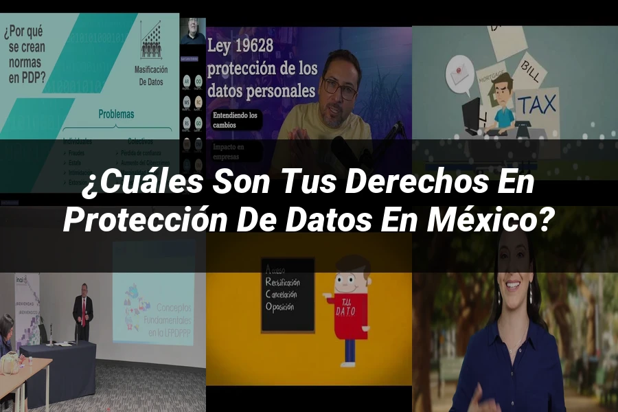 "¿Cuáles Son Tus Derechos en Protección de Datos en México?"